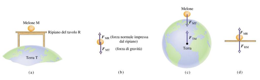 Terza legge delle dinamica: esempi Azione