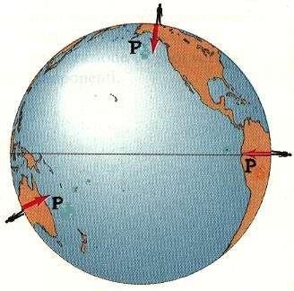 Forza Peso La forza peso è l attrazione gravitazionale esercitata dalla Terra sui corpi in vicinanza della sua superficie.