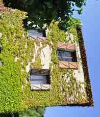 Edificio rurale Mulini Datazione stimata XIX sec.