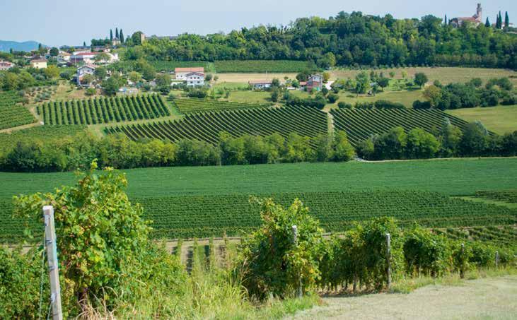 e preziosi. Montegrotto è una località termale fortemente connessa col suo territorio. Un territorio ricco di natura, cultura e offerta enogastronomica. Le dolomiti, patrimonio dell UNESCO.