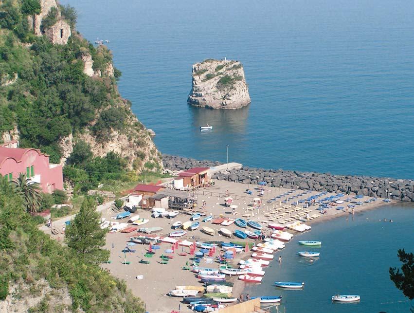 il trasporto marittimo e di tecnico del mare ed aver effettuato un periodo di addestramento a bordo di navi e imbarcazioni da diporto adibite al noleggio di almeno 12 mesi con la qualifica di mozzo o