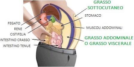 1. Alimentazione nell