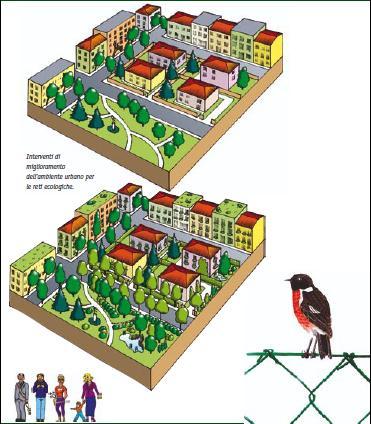 che lavorare per reti ecologiche, si sono sviluppate OASI ECOLOGICHE