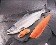 SALMONE SUPERIOR 3/4 CASSA 10050123 SALMONE SUPERIOR 3/4 SBAFFATO 10050124 SALMONE