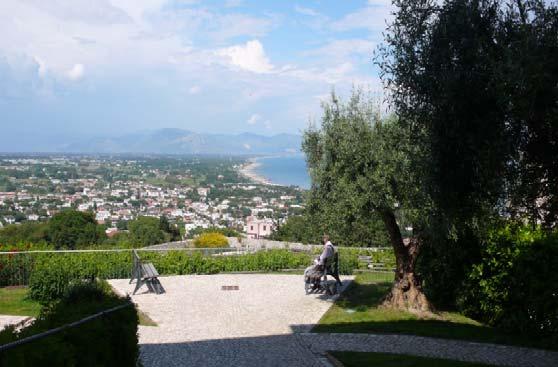 magico teatro di eventi Due falchi tornano a volare Liberati dalla Forestale due falchi pecchiaioli Due falchi curati e rimessi in libertà Bud Spencer