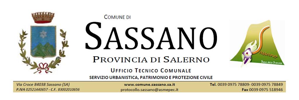 REGOLAMENTO PER LA CONCESSIONE DI PATROCINIO COMUNALE Regolamento per la Concessione di