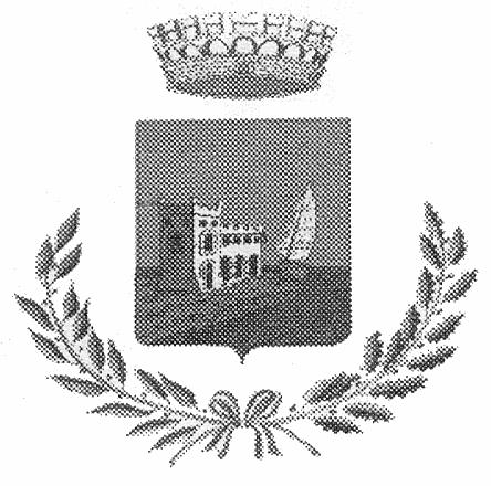 (Provincia di Bologna) ORDINANZA N.