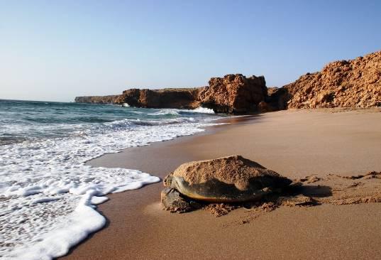 Si prosegue quindi lungo la costa del golfo di Oman, caratterizzato da alcune belle valli tra