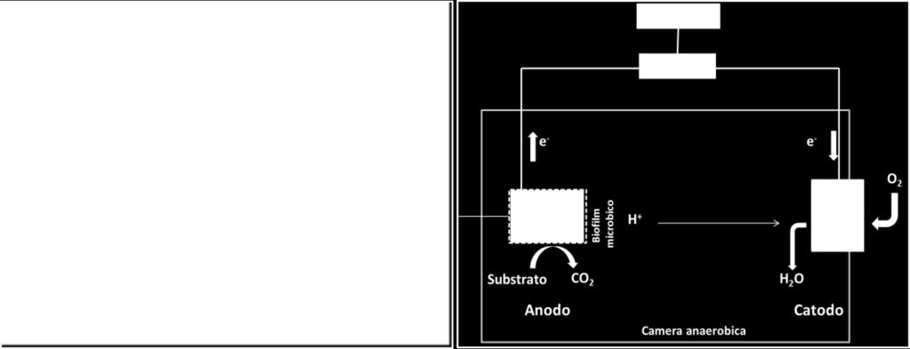 agevolazione dei processi di up- grading per omenere bio- metano agli standard di uwlizzo nelle rew di distribuzione.