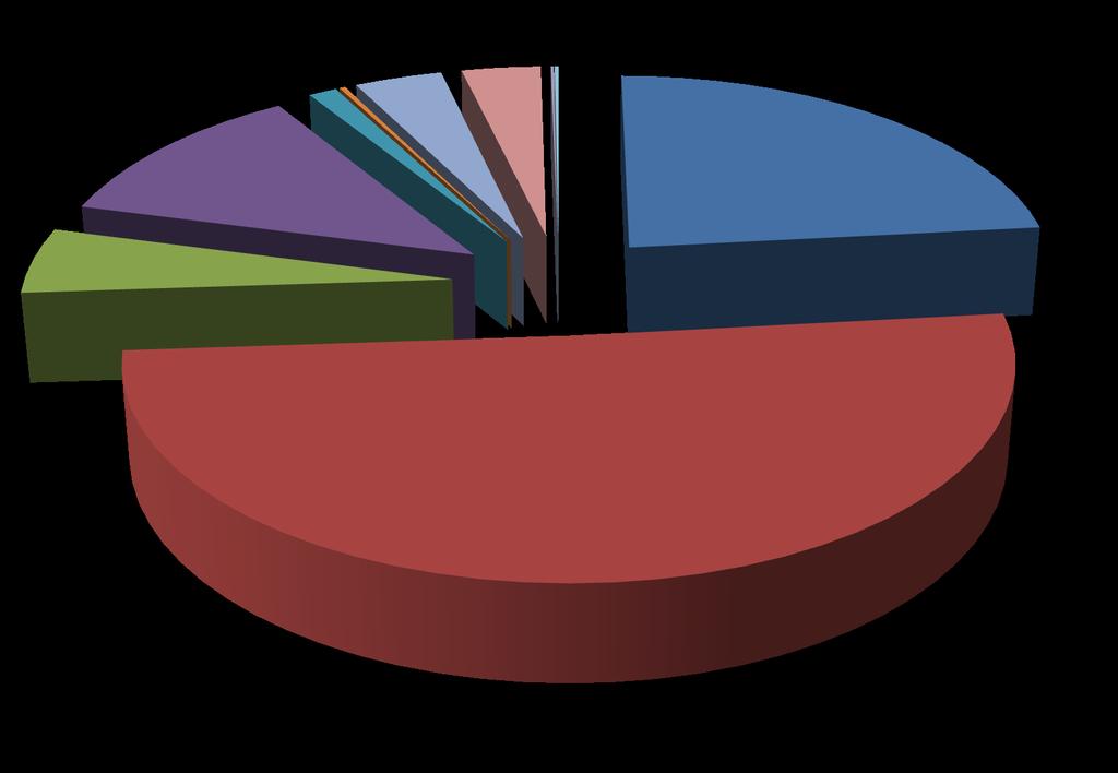 ATTIVITA' FORMATIVA - ALTRE INIZIATIVE ATTIVITA' FORMATIVA 1% - CAMPI SCUOLA RESIDENZIALI 12% RENDICONTO 2015 ATTIVITA' COMUNICAZIONE 0% SPESE PER ORGANI ISTITUZIONALI 4% COSTI