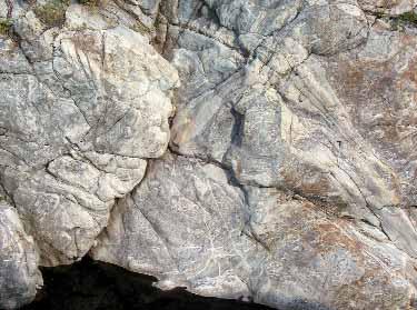 Migmatiti Le rocce che costituiscono l isolotto e che affiorano lungo le sponde sono migmatiti, rocce che si sono formate per fusione parziale