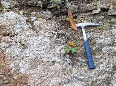 Accumulo deposto durante un evento di colata detritica torrentizia Percorrendo verso monte la sponda sinistra del rio sino ad un bosco di pini è possibile vedere un accumulo, dalla caratteristica