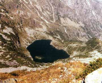 000 anni fa) l alta Valle Cervo era caratterizzata dalla presenza di piccoli ghiacciai nei singoli valloni, i quali, nelle fasi di massima espansione glaciale, potevano essere