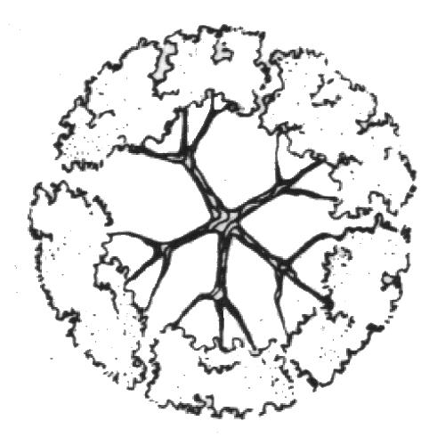 Alcuni elementi grafici I simboli associati ai punti possono essere di molti tipi diversi ed esprimere concetti differenti.