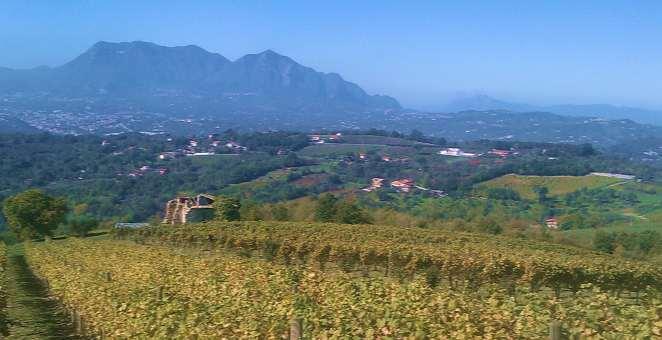La tenuta del MELIZIE Il Grande Vino della Campania Completamente dedicata al nobile vitigno Fiano, la tenuta di Santo Stefano del Sole è il punto di riferimento per la produzione del Radici Fiano di