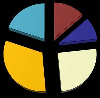 Consigli comunali sciolti in Campania per provincia Anni 2010-2014 Province 2010 2011 2012 2013 2014 Totale Avellino 5 1 7 3 3 19