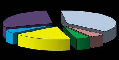 sfiducia 4,9% Mafia 48,8% 50,0% 24,4% Bilancio 2,4% 12,2% Decadenza 7,3%