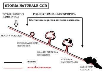 Diagnosi precoce.