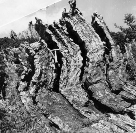 struttura prodotta quando una superficie originariamente piana è deformata fino a diventare curva.