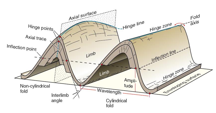 PIEGHE: Aspetti Geometrici CERNIERA (hinge): zona di massima curvatura FIANCHI o LEMBI (flanks o limbs): zone di raccordo tra Le cerniere.