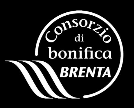 www.consorziobrenta.