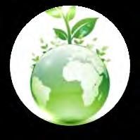 sostenibilità biomasse
