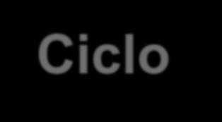 Ciclo cellulare: checkpoints G2 checkpoint: dimensioni cellulari, presenza di nutrienti,
