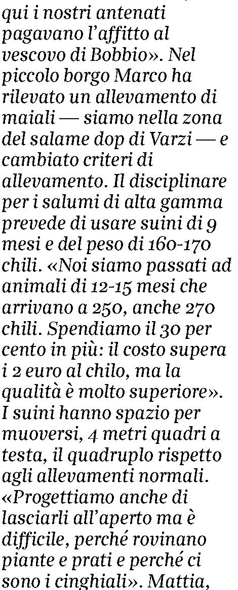 Quotidiano