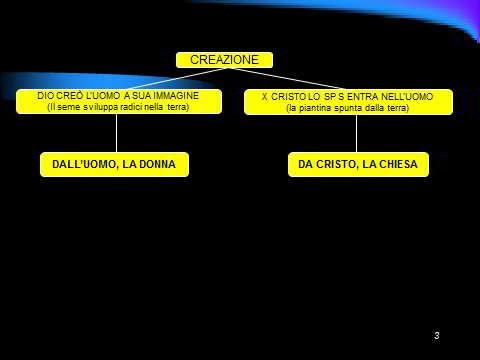 diapositiva 3: DALL UOMO LA DONNA COSÌ COME DA CRISTO LA CHIESA.