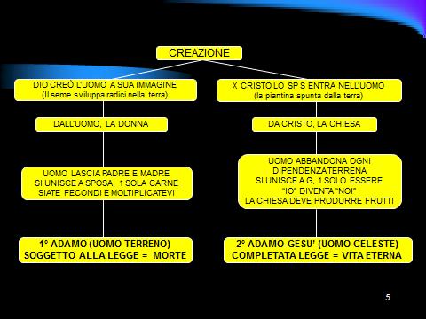 diapositiva 5: Adamo era soggetto alla legge (Genesi 2:17 ma dell'albero della conoscenza del bene e del male non ne mangiare; perché nel giorno che tu ne mangerai, certamente morirai».