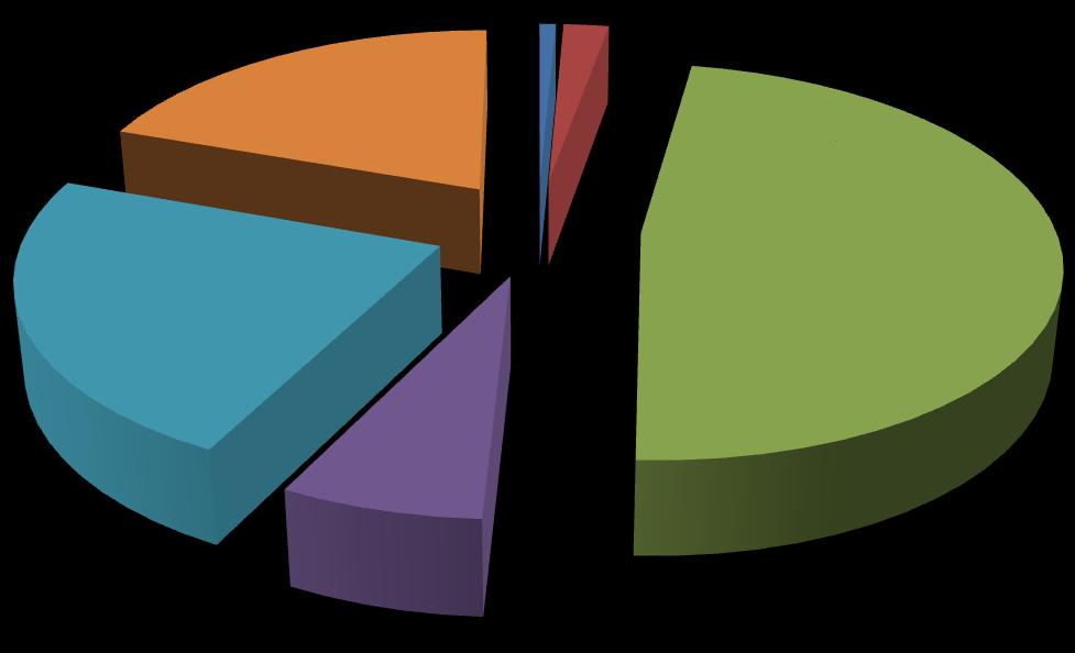 Tabella 12 - Distribuzione dei lavoratori interinali per settore produttivo 2003-2006 2003 2004 2005 2006 2007 Industria manifatturiera 54,0% 52,5% 50,3% 52,9% 51,7% Costruzioni 1,9%