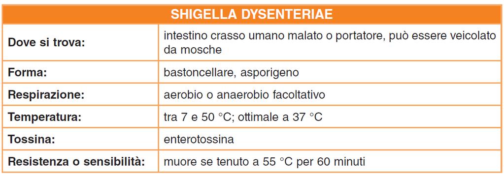 Dissenteria bacillare o shigellosi Alimenti