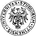 UNIVERSITA DEGLI STUDI DI UDINE REGOLAMENTO DIDATTICO DI CORSO DI LAUREA MAGISTRALE Corso di laurea magistrale in TRADUZIONE E