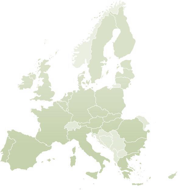 Il ruolo degli SM/Regioni Ruolo principale nell attuazione della politica Non vi è un unico «modello standard» efficace, ma una generale necessità