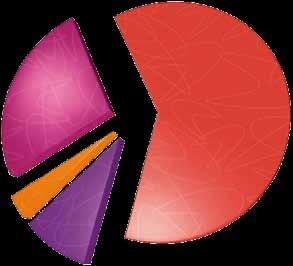 DATI (pagine in aggiornamento) 3% 9% 27 % 61% Sclerosi Multipla