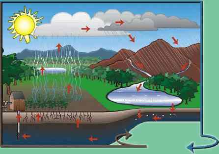 Il ciclo dell'acqua L'acqua è un elemento che continua a cambiare il suo stato attraverso il ciclo idrologico: in atmosfera è presente allo stato di vapore e giunge sulla terra con le precipitazioni;
