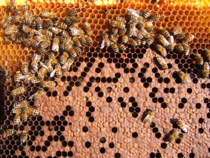 È corretto fare questo discorso con le api?