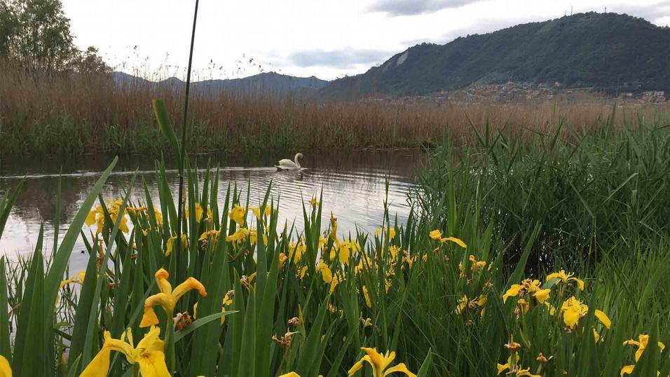 16,30 - Giochi Senza Frontiere in Villaggio Puro divertimento a bordo lago con sfide tra pedalo, kayak.