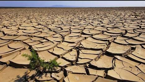 Desertificazione Fonte: L.