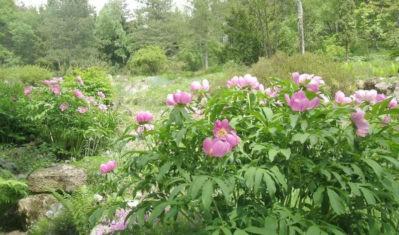 I display garden Ricadute sul territorio: Incremento turismo