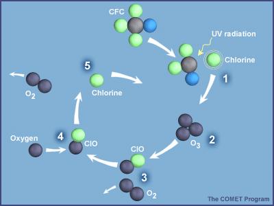 CATALISI b) Nella Stratosfera (fino a 30-50 km di quota): DISTRUZIONE DELLO SCHERMO DI O 3 (1) O 2(g) + hν 2 O (g) Nella stratosfera è presente ossigeno atomico dovuto alla fotodissociazione di