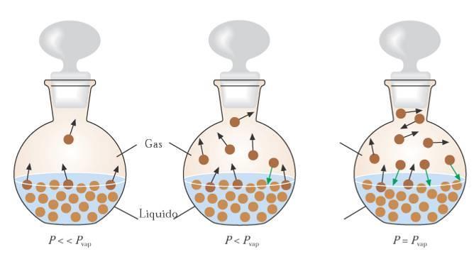 Transizione di fase liquido-vapore Il passaggio dalla fase liquida alla fase vapore continua fino a quando la pressione esercitata dal vapore eguaglia la Tensione di vapore a quella temperatura Lo