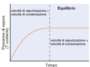 Equilibrio liquido-gas All equilibrio, la pressione è costante perché la