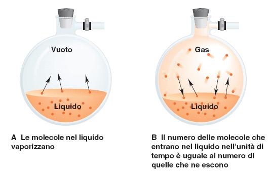 La pressione in questo punto è la tensione di vapore del liquido a quella