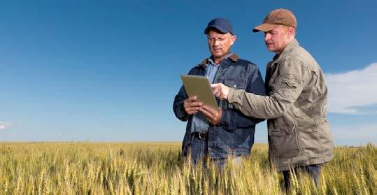 QUADERNO DI CAMPAGNA economico Per le aziende i cui titolari siano acquirenti od utilizzatori di prodotti fitosanitari valgono gli impegni previsti dal D.P.R. n.