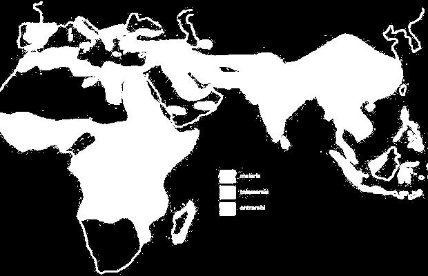 EPIDEMIOLOGIA La talassemia nel mondo Sono circa 3 milioni