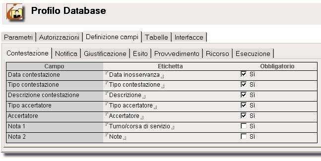 Parametrizzazione dell applicazione Il Profilo Database contiene tutte le impostazioni di configurazione dell'applicazione.