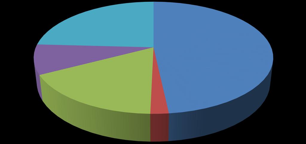 9% 24% 48% CONI 48% SPONSOR 2% ENTRATE PROPRIE 17% 17% 2%