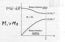 6 ω = C( + M M ± C( + M M 4C M = C( + M M ± C( M M che, per > M, si riducono a ω bz ac = C ; ω bz M ott = C 1 M Le due branche che si ottengono con due atomi/cella in una dimensione sono tracciate