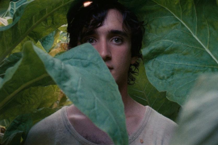 LAZZARO FELICE un film di Alice Rohrwacher Prix du scénario Cannes 2018 Quella di Lazzaro, un contadino che non ha ancora vent anni ed è talmente buono da poter sembrare stupido, e Tancredi, giovane